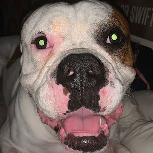 Meet your Posher, Maci